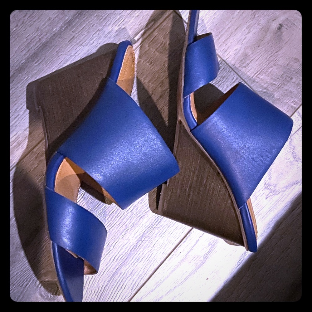 Blue Wedges